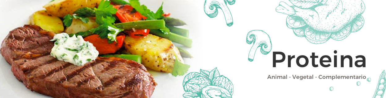 banner proteina es