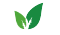 hoja