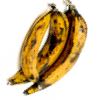 platano maduro