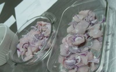 corvine ceviche3