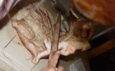 whole piglet or pig in a bag1