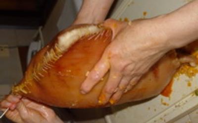 whole piglet or pig in a bag9